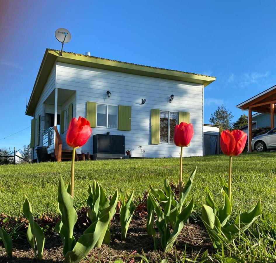 Cabanas Aliwen Villa Ñilque Kültér fotó