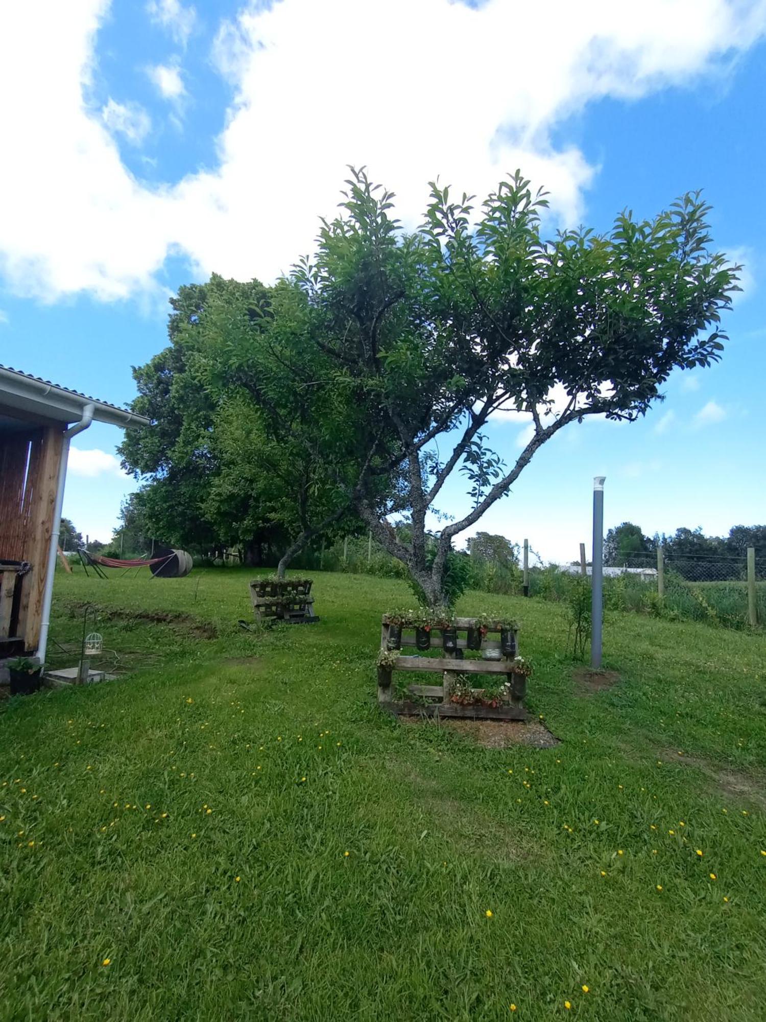 Cabanas Aliwen Villa Ñilque Kültér fotó