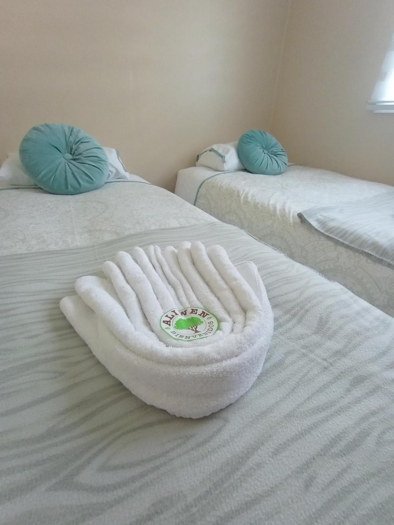 Cabanas Aliwen Villa Ñilque Kültér fotó