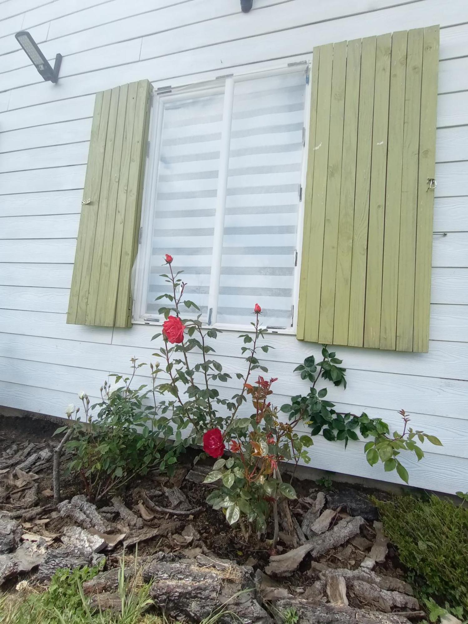 Cabanas Aliwen Villa Ñilque Kültér fotó