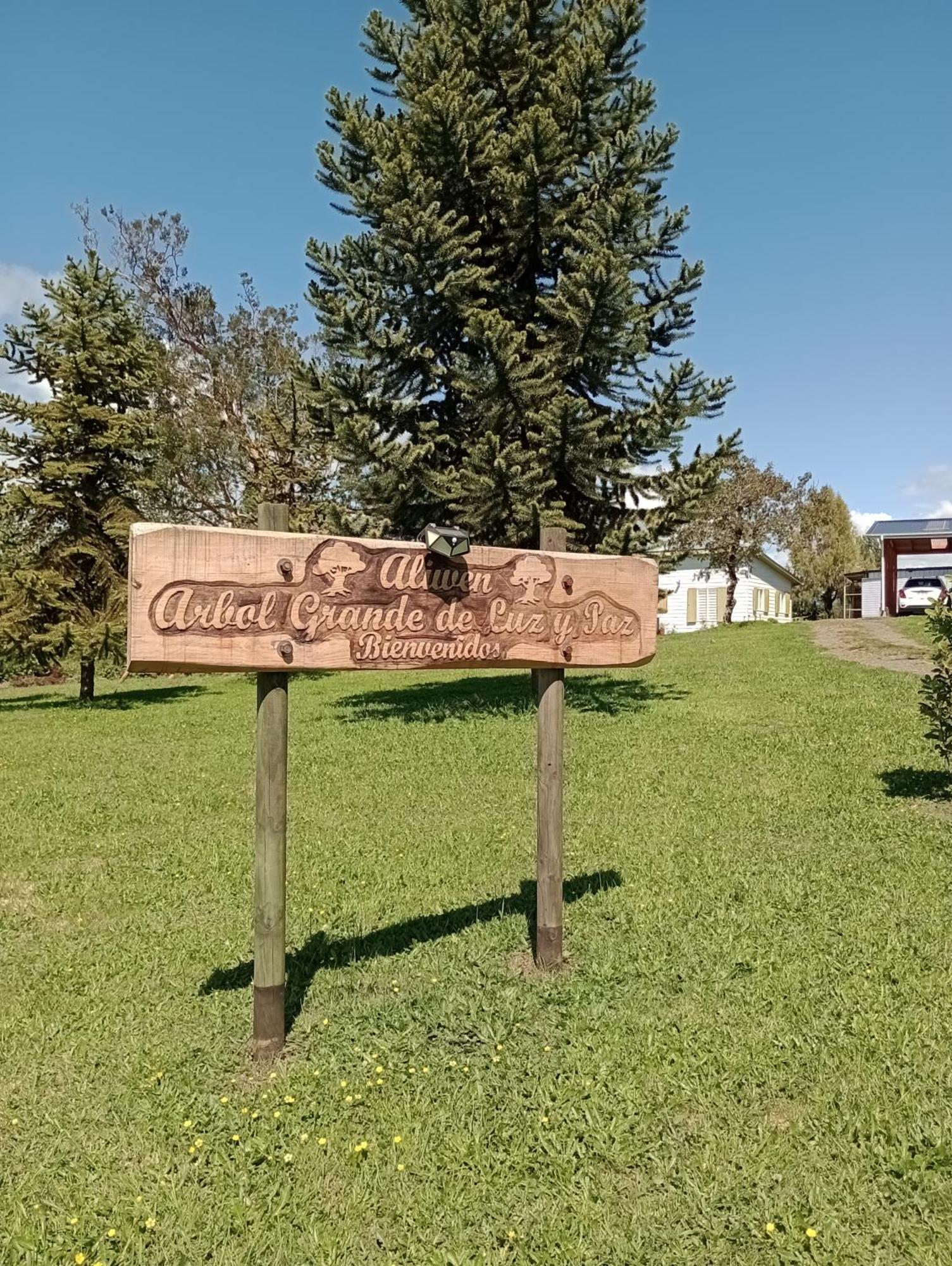 Cabanas Aliwen Villa Ñilque Kültér fotó