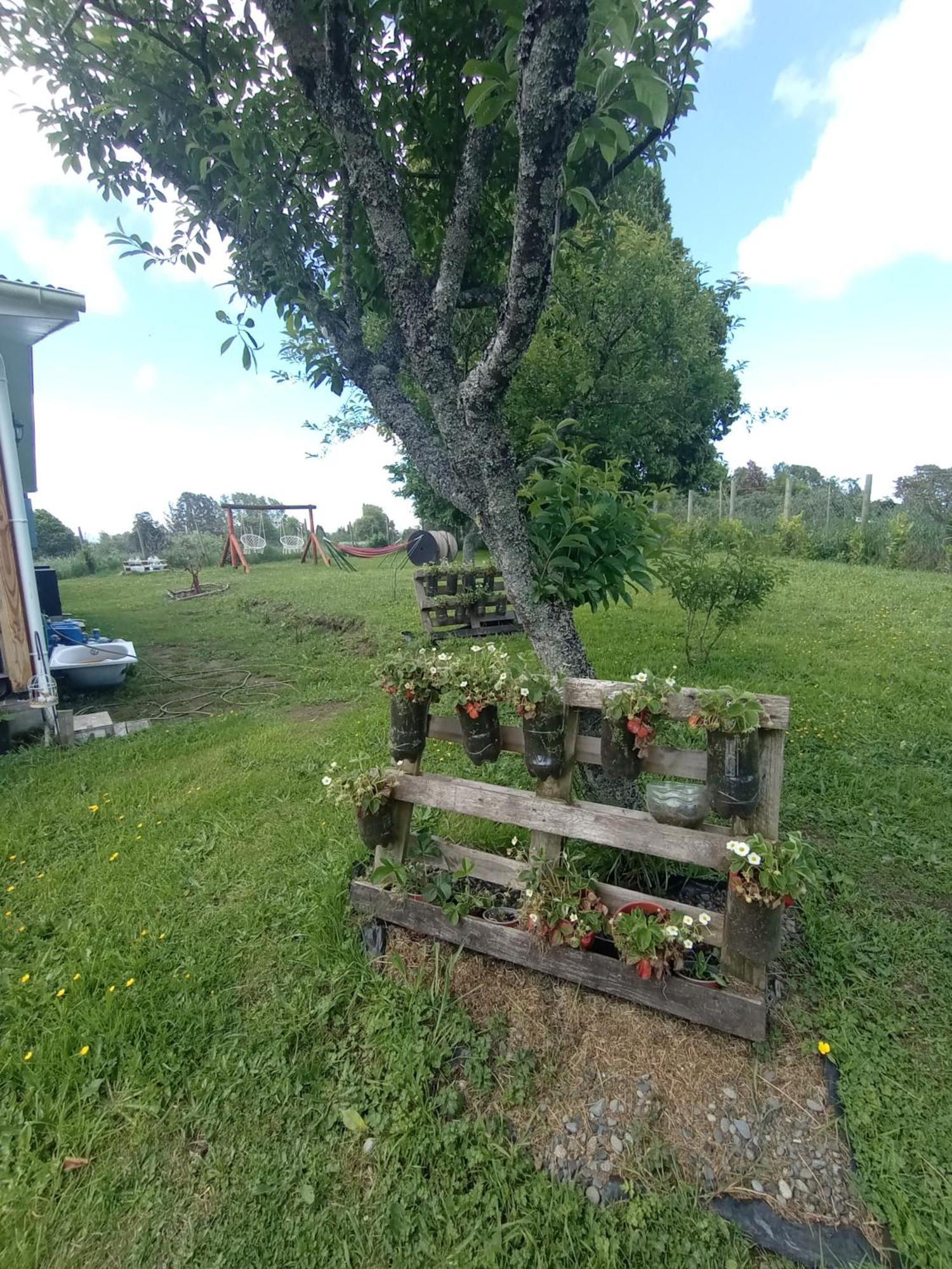 Cabanas Aliwen Villa Ñilque Kültér fotó